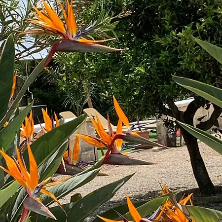 Lvm Br Italy Villa San Vito dei Normanni